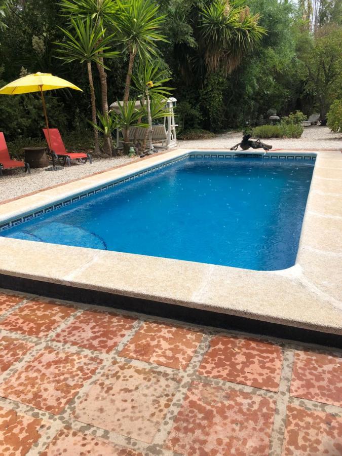 Finca El Rio,, La Casita One Of 2 Self Catering Studios. Pool And Hydrotherapy Jacuzzi Málaga Eksteriør bilde